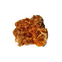 Daisy Bed Gypsum Raw Crystal Specimen