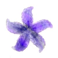Carving Of A Starfish in Fluorite