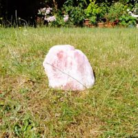 Large Rose Quartz Raw Nodule Specimen