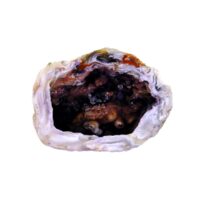 Agate/Chalcedony Geode Specimen