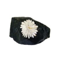 Chrysanthemum Stone Raw Crystal Specimen
