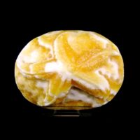 Starfish Carving in Orange Calcite