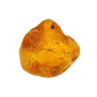 Baltic Amber Raw Specimen