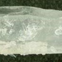 Barnicle' Quartz Point Specimen 109 x 35 x 34mm Aprox