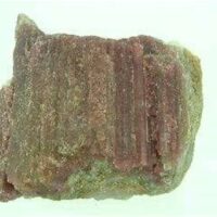 Bi Coloured Tourmaline Specimen 74 x 68 x 37mm Aprox