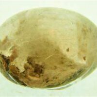 Dome Polished Quartz Pebble Specimen