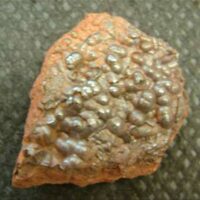 Botryoidal Hematite Specimen