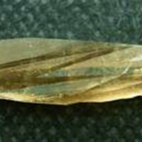 Smokey Quartz Laser Point Specimen