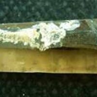 Smokey Quartz Laser Point Specimen