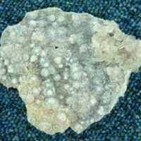 Amethyst Flower Plate Specimen 90 x 78 x 15mm Aprox