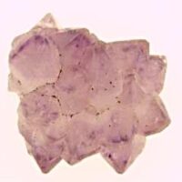 Stalagtitic Amethyst Cluster Specimen