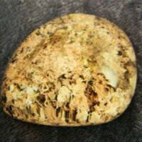 Dome Polished Quartz Pebble Specimen