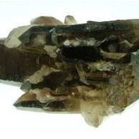 Smokey Quartz Double Terminated Cluster Specimen