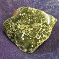 Orbicular Jasper Polished Face Boulder Specimen