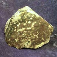 Orbicular Jasper Polished Face Boulder Specimen