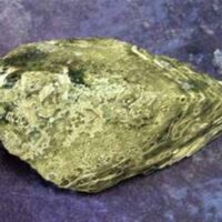 Orbicular Jasper Polished Face Boulder Specimen