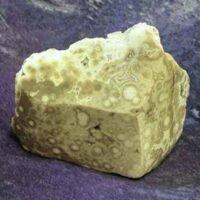 Orbicular Jasper Polished Face Boulder Specimen