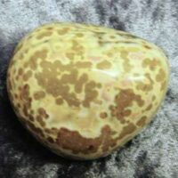 Orbicular Jasper Polished Pebble Specimen (Madagascar)
