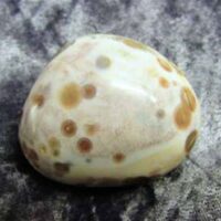 Orbicular Jasper Polished Pebble Specimen (Madagascar)