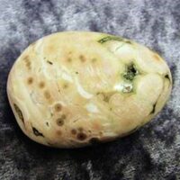 Orbicular Jasper Polished Pebble Specimen (Madagascar)