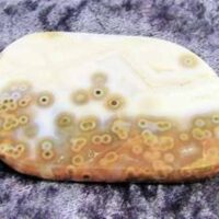 Orbicular Jasper Polished Slice Specimen (Madagascar)