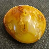Carnelian Polished Pebble Specimen