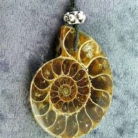 Polished Face Ammonite Fossil Pendant