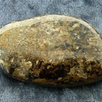 Bronzite Polished Palmstone