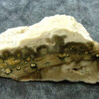 Orbicular Jasper Polished Face Nudule Specimen