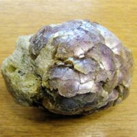 Botryoidal Lepidolite Specimen (Brazil)