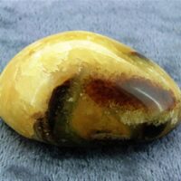 Madagascan Septaria 'Hand Polished' Pebble Specimen