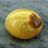 Madagascan Septaria 'Hand Polished' Pebble Specimen