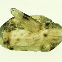 Smokey Quartz Double Terminated Point Specimen