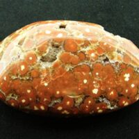 Orbicular Jasper Polished Pebble Specimen (Madagascar)