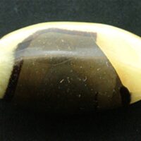 Madagascan Septaria 'Hand Polished' Pebble Specimen