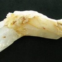 Double Terminated Quartz Bent Point/Cluster