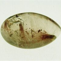 Quartz Polished Pebble Specimen