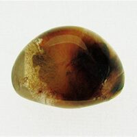 Quartz Polished Pebble Specimen