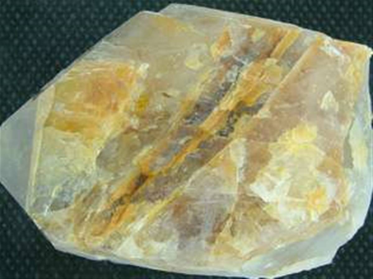 SP564x1200-1.jpg