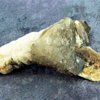 Smokey Quartz in Mica Specimen