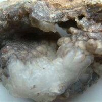 Black Chalcedony 11cm x 6.5cm Appx