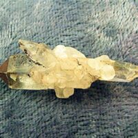 Double Terminated Twin Cluster Specimen