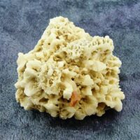 Spessartine Garnet with Albite Specimen