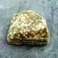 Orbicular Jasper Polished Pebble Specimen (Madagascar)