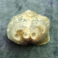 Lepidolite with Pink Tourmaline Specimen