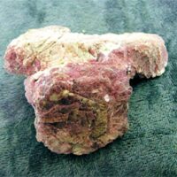 Lepidolite Mica Crystal Specimen