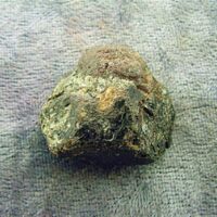 Garnet with Staurolite Crystal Specimen