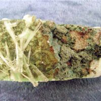 Apophyllite Rough Crystal Specimen