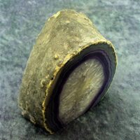 Polished Face Agate Nodule Specimen