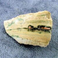 Orbicular Jasper Polished Face Nudule Specimen